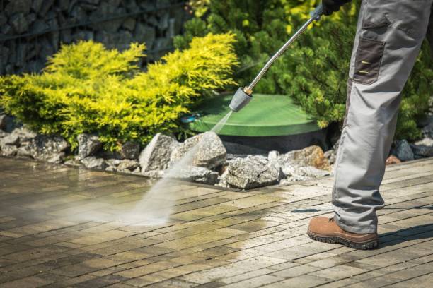 Best Roof Washing  in Westminster, CO